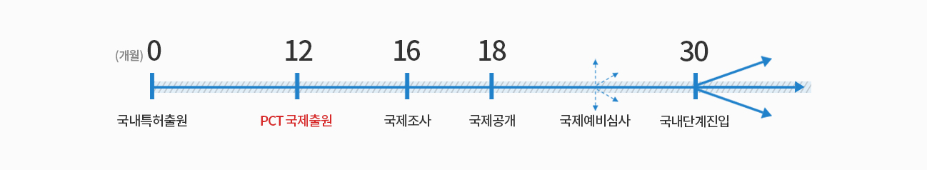 특허(실용신안) 해외(국제) 출원방식 -PCT에 의한 국제출원방식